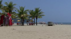 Captura de 'Big Butt Brazilian Anal Babes' nº 48
