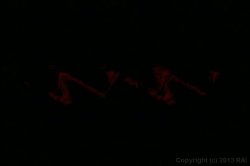 Captura de 'Style 3' nº 3
