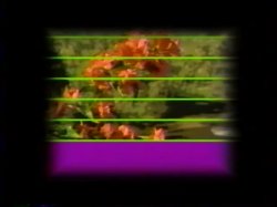 Captura de 'The Ebony Garden' nº 3
