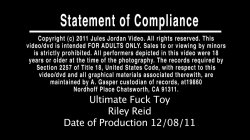 Captura de 'Ultimate Fuck Toy: Riley Reid' nº 2