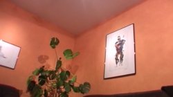 Captura de 'U 50 und tierisch geil' nº 20