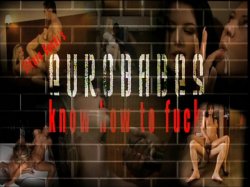 'Eurobabes Know How To Fuck' screenshot nº 1