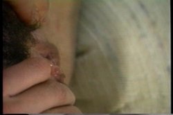 'Amateur Lesbians 3' screenshot nº 87