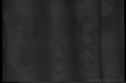 'Amateur Lesbians 3' screenshot nº 108