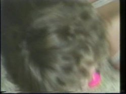 'Maid for Bondage' screenshot nº 95