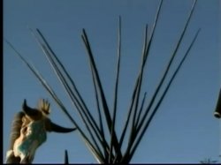 'Feed My Ass' screenshot nº 119