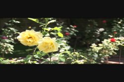 'Barely 18 21' screenshot nº 60