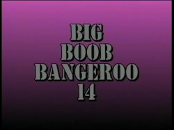 Captura de 'Big Boob Bangeroo 14' nº 1