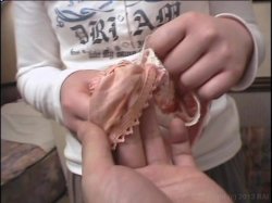 Captura de 'I'm Camera Shy' nº 97