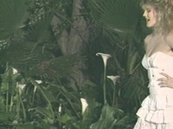 '69 Scenes: Superstars of the 80's Part 2' screenshot nº 88