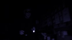 'Mona Fiesa' screenshot nº 1