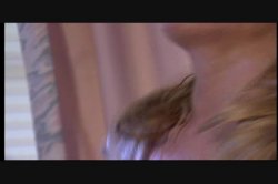'Fucking Assholes' screenshot nº 35