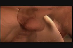 'All Natural' screenshot nº 31