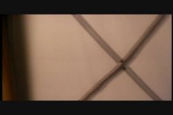 'All Natural' screenshot nº 37