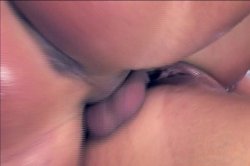 'New Whores 7' screenshot nº 81