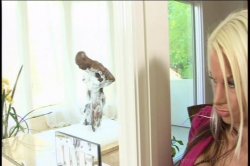 Captura de 'Ahhhhh Shit! White Mama 6' nº 44