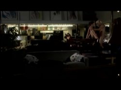 Captura de 'Gotcha!' nº 26