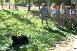 'Gangbang Girl 35' screenshot nº 78