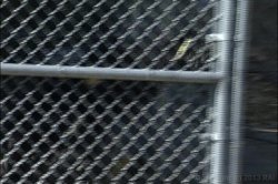 'Gangbang Girl 35' screenshot nº 87