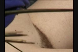 'Horny Hairy Girls 11' screenshot nº 131