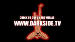 Captura de 'Black Porn Stars' nº 1