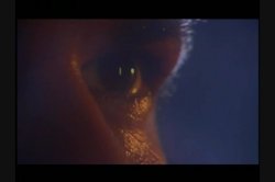 'Paradise Lost' screenshot nº 3