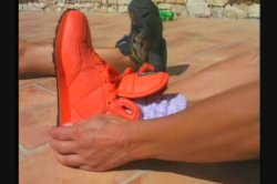 Captura de 'Body Builders In Heat 14' nº 16
