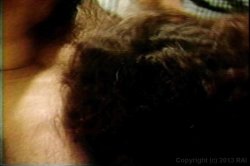 'Formula 69' screenshot nº 120