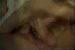 'Formula 69' screenshot nº 18