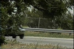 'Formula 69' screenshot nº 31