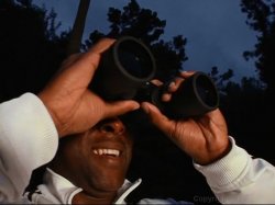 'Big Black Butts Wit Thick Dentz' screenshot nº 66