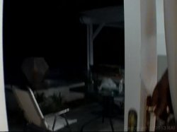 'Big Black Butts Wit Thick Dentz' screenshot nº 67