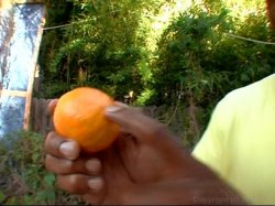 'Big Black Butts Wit Thick Dentz' screenshot nº 1