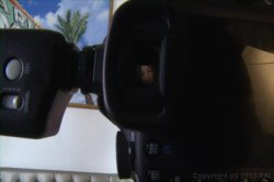 'Scale Bustin Babes 46' screenshot nº 75