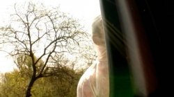 Captura de 'All Internal 10' nº 33