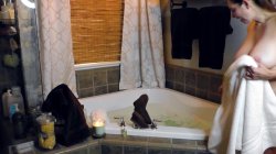 'Shower Solos 1' screenshot nº 21