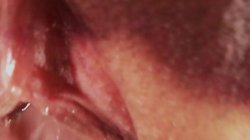 'Cream #22' screenshot nº 73