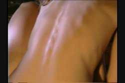 'Hollywood Orgies: Christy Canyon' screenshot nº 100