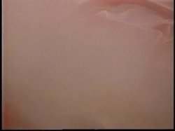 Captura de 'Golden Age of Porn, The: Giant Juggs' nº 134