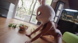 Captura de 'Perfect Pets' nº 68