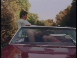 Captura de 'Best Of VCX Classics II, The' nº 104