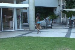 'Black on Black Crime 6' screenshot nº 98