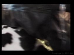 Captura de 'Sex Me' nº 46