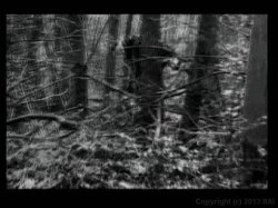 Captura de 'Sex Me' nº 106