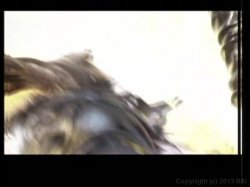 Captura de 'Sex Me' nº 19