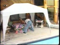 'Adventures of Mr. Tootsie Pole 1' screenshot nº 66