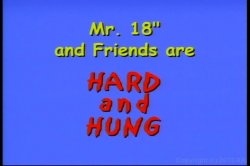 Captura de 'Mr. 18 and Friends Are Hard & Hung!' nº 1