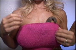 Captura de 'Adult Stars at Home 2' nº 14