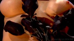 Captura de 'Janine and Jessica's Dirty Desires' nº 15