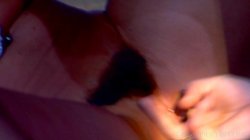 'Soaking Wet Mess' screenshot nº 138